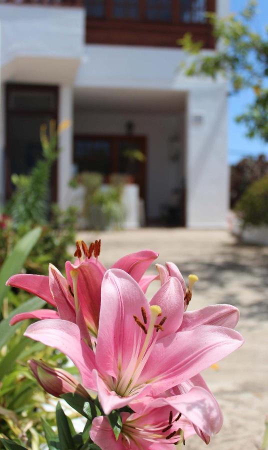 Casa Los Palitos Monte de Brena Exterior foto